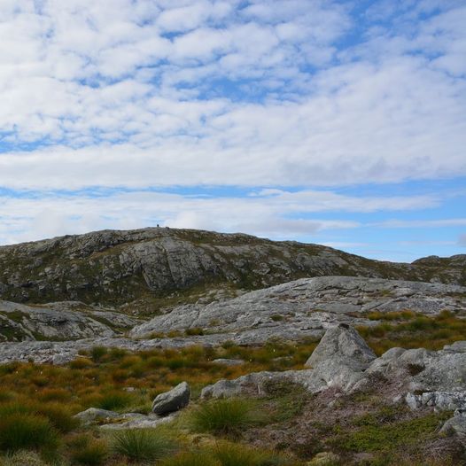 Vikebygd-Vikestølen-Trodlafjell