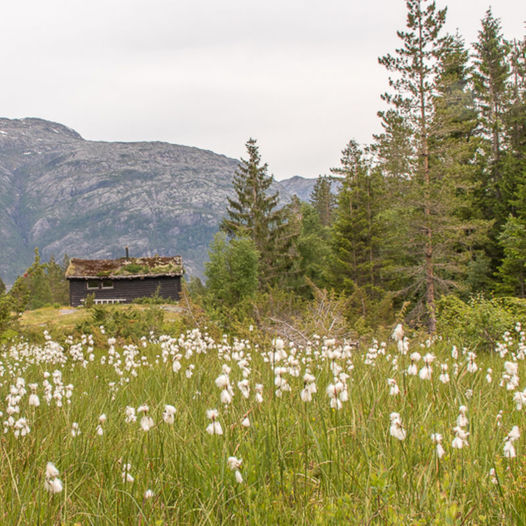 Rullestad-Ramnanuten-Vaulo-Langfoss