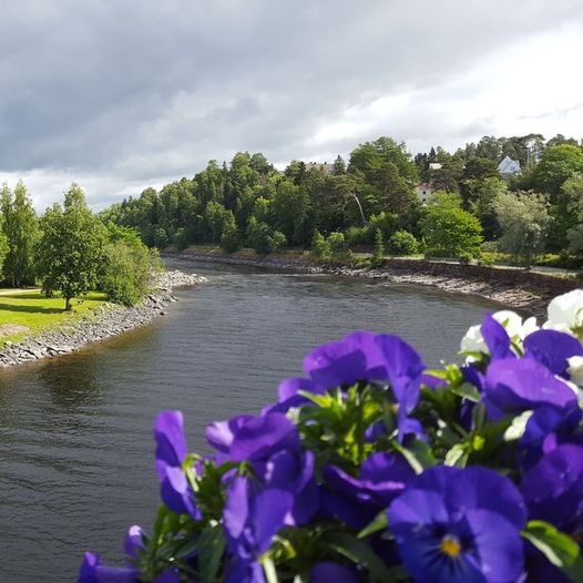 Elvepromenaden i Steinkjer sentrum