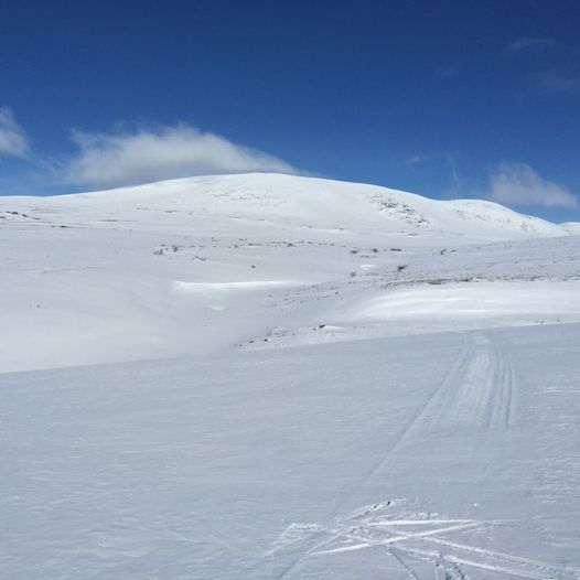 Storhøe fra Eftansåe