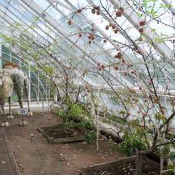 Charity Garden Opening - Bughtrig