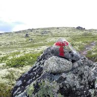 Dusetind fra Pålsbudammen