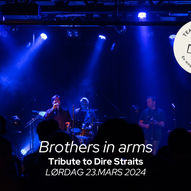 Brothers in arms // A tribute to Dire Straits