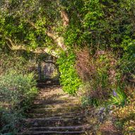 Charity Garden Opening - Crinan Hotel Garden