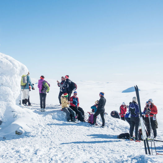 Hallingdalsløypa Sør