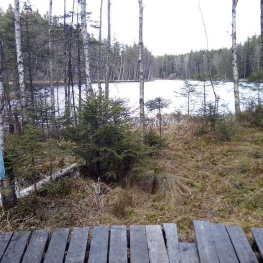 Siggerud - Syverudtjern, over Tangefjellet, Sauåsen og Snikedalsåsen