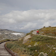 Rallarvegen - en klassiker for fjellsyklister