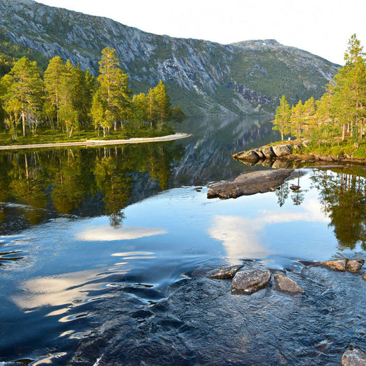 Storskogvatnet i Rago Nasjonalpark