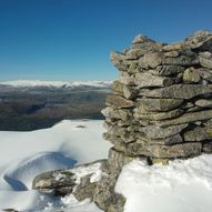 Tuftedalen - Blånipa