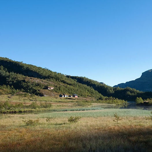 Klippe - Stølstur med utsikt