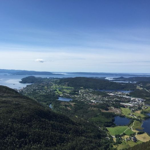 Møsnuken via Linken