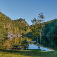 Skogstur Stampetjern, Dammyra og Bjørholen