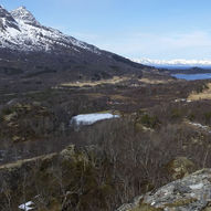 Topptur til høyde ved Gurendal.