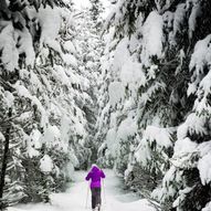 Skitur til Njukčagáisá - Svanefjell i Tana kommune