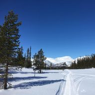 Topptur til Brattefjell