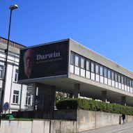 Stavanger Museum