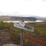 Nerskogen til Jøldalshytta