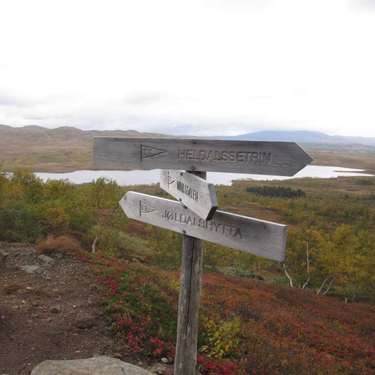 Nerskogen til Jøldalshytta