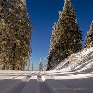 Skitur mellom Torsbu og Veltdalshytta via Litlefjell