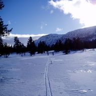 Skiløype på Rondetunet