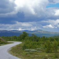 Gjennom Trollskogen fra Haugsvollen til Gammelenga