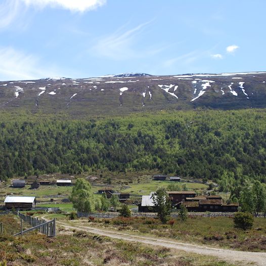 Sota Sæter til Kollungen