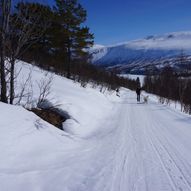 Bårdsgarden – Halsbekkdalen