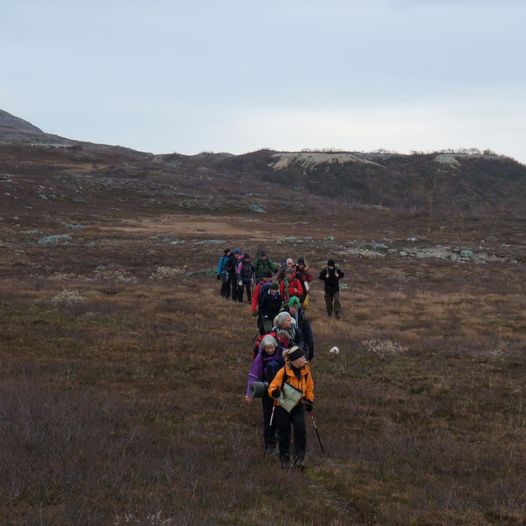 Tverrbrennstua til Bjellåvasstua