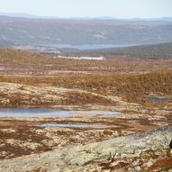 Topptur Hakkesetstølen-Birgithovda-Ustetind-Hakkesetstølen