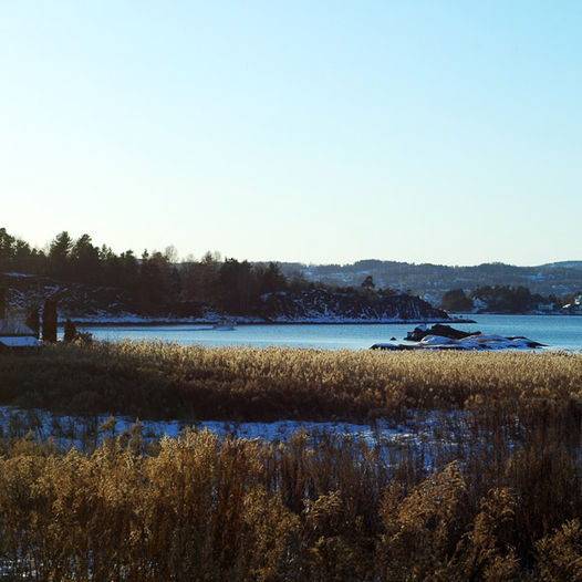 Tur til Brønnøya