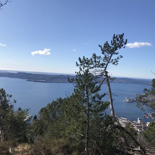 Sørsiden av Skredderdalen opp eggen til Fløyfjellet