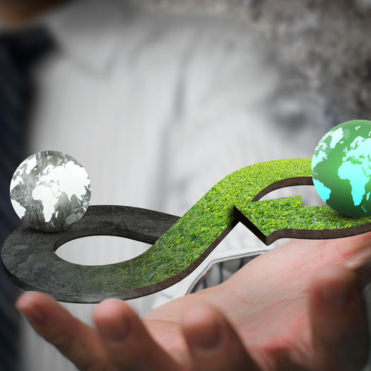 Workshop: Your Company Values Vs. Circular Economy