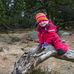 Familietur til Ulvatjørn