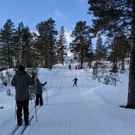 Furuåsen