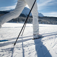 Inn i Lillomarka fra Sognsvann til Groruddalen