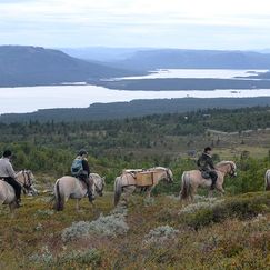 Rideaktiviteter på Langedrag