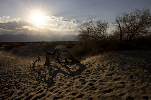 Rising Toll: Deadly Summer Heatwave Sweeps Western U.S.