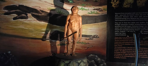 3D-Nachbildung antiker Menschen aus Flores (Homo floresiensis) im Archäologischen Museum Sangiran, Provinz Central Java, Indonesien.