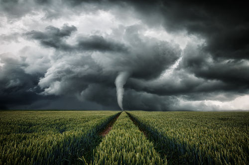 Tornado über einem Feld.