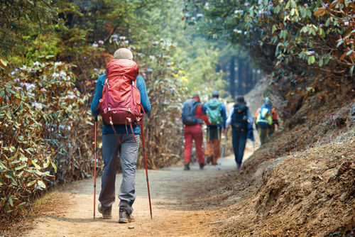 Rückblick auf eine Gruppe Freunde, die mit großen Rucksäcken wandern.