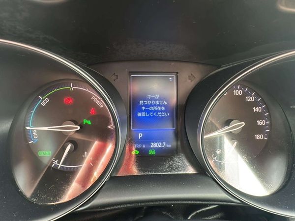 2017 Toyota C-HR Enterprise Gisborne, 323 Gladstone Rd image 313207