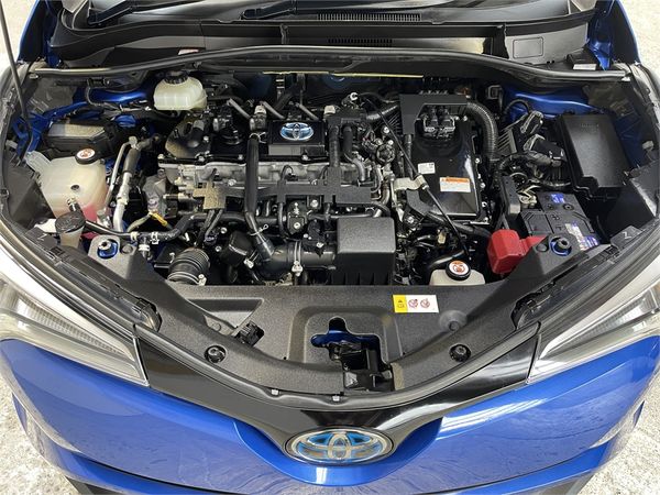 2019 Toyota C-HR Enterprise Hamilton image 159871