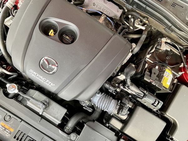 2018 Mazda 3 Enterprise Hamilton, Te Rapa image 218824