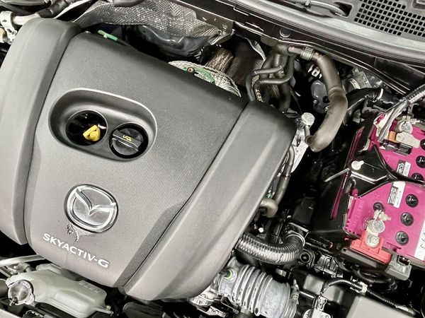 2021 Mazda 2 Enterprise Hamilton, Te Rapa image 225089