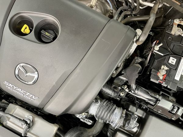2019 Mazda 3 Enterprise Hamilton, Te Rapa image 232778