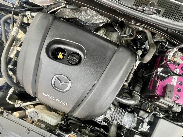 2020 Mazda 2 Enterprise Hamilton, Te Rapa image 226488