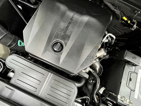 2019 SsangYong Rhino Enterprise Hamilton, Te Rapa image 257155