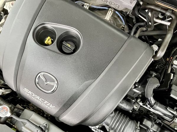 2018 Mazda 3 Enterprise Hamilton, Te Rapa image 254750