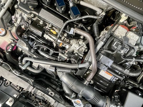 2020 Toyota Yaris Enterprise Hamilton, Te Rapa image 255971