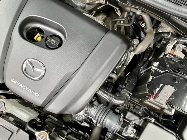 2020 Mazda 2 Enterprise Hamilton, Te Rapa image 265356